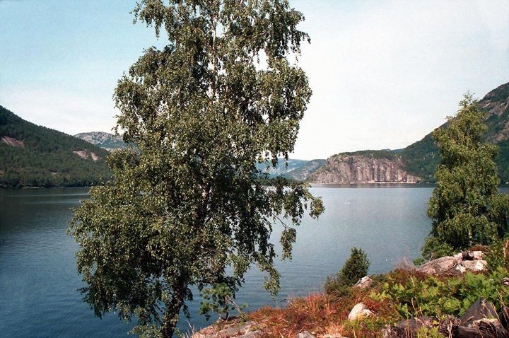 Bylandsfjorden004