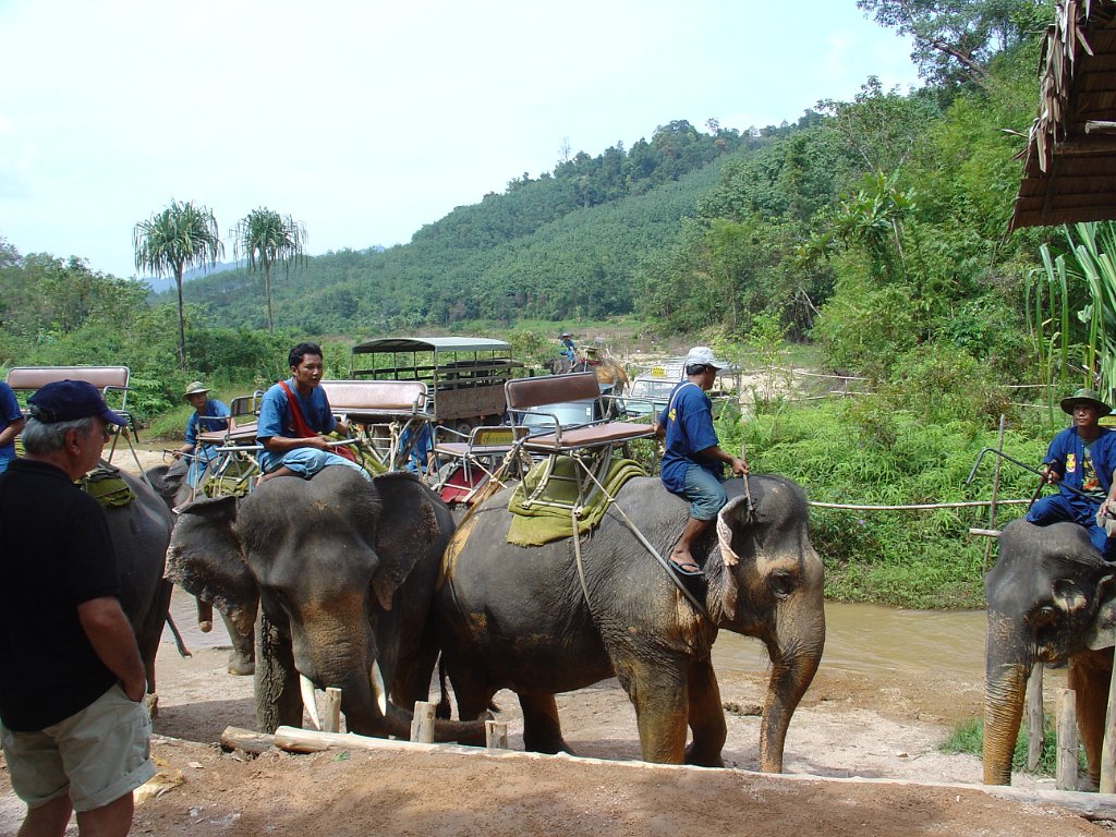 Elefantridning Kaho Sok 021