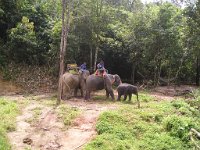 Elefantridning Kaho Sok 036