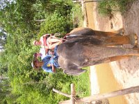 Elefantridning Kaho Sok 037