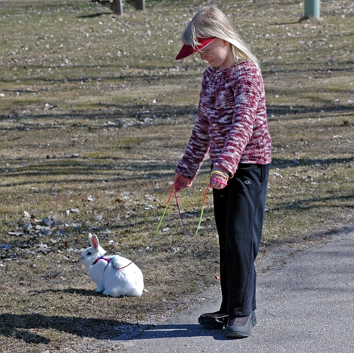 2006_0422_12.JPG - Nu har våren kommit .......