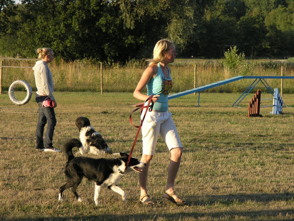 Hundcamping_089