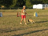 Hundcamping_102