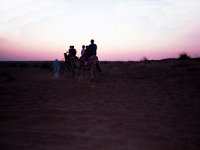 05  På kamel genom öknen i solnedgången