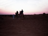 kameler004  Kameler, turister och en solnedgång