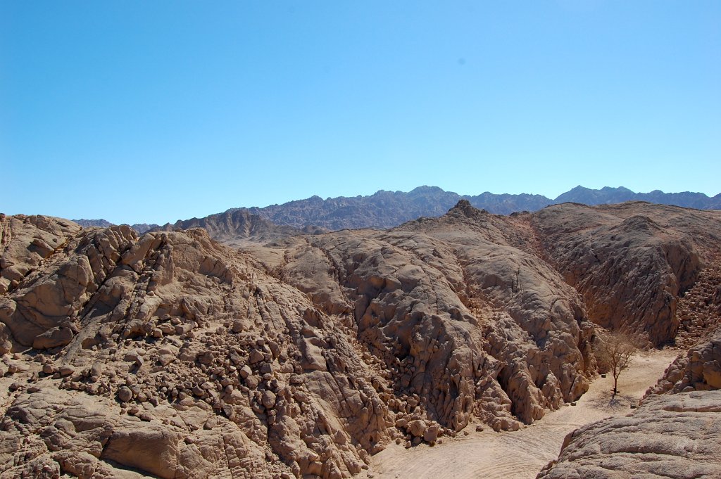 Sinai 10