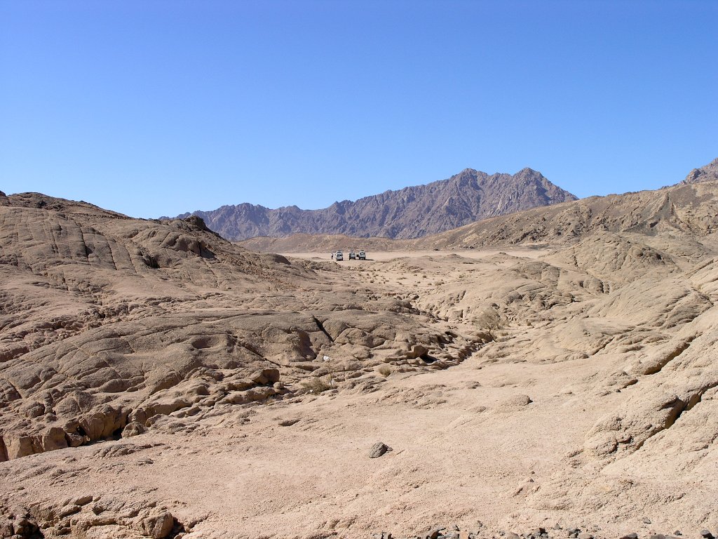 Sinai 53