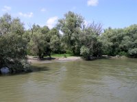 Donaudeltat 23