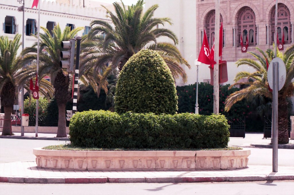 Tunisien 65