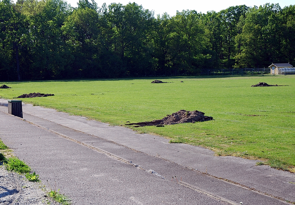 2014_0528_162107AA.JPG - Man börjar med att gräva upp den gamla bevattningsanläggningen