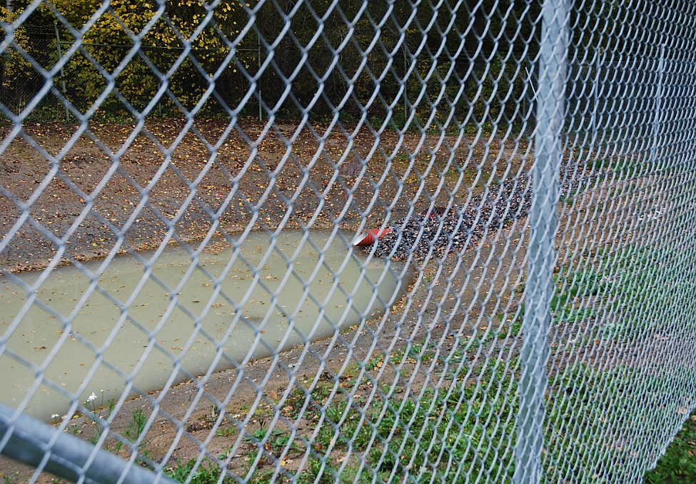 2014_1002_101137AA.JPG - Den konstgjorda "dammen" som skall ta hand om allt dräneringsvatten från plan och dess närhet